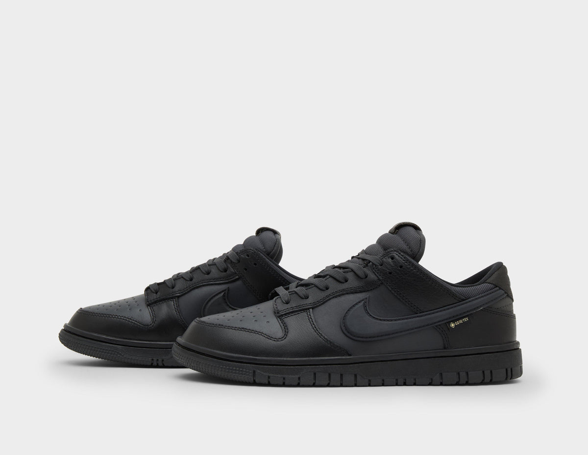 Nike Dunk Low GORE-TEX