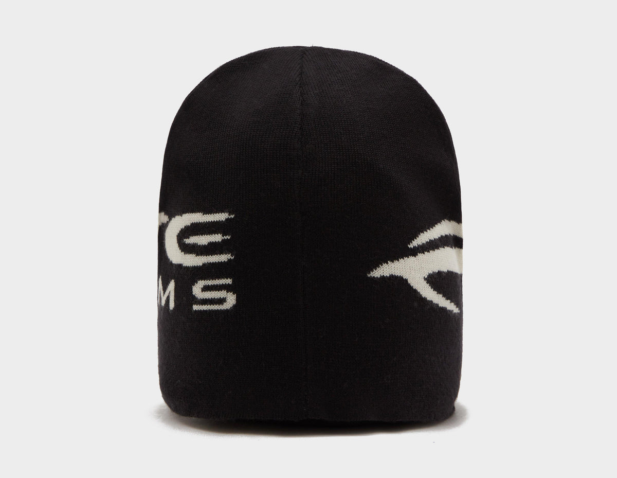 Alte Systems Fleet Beanie