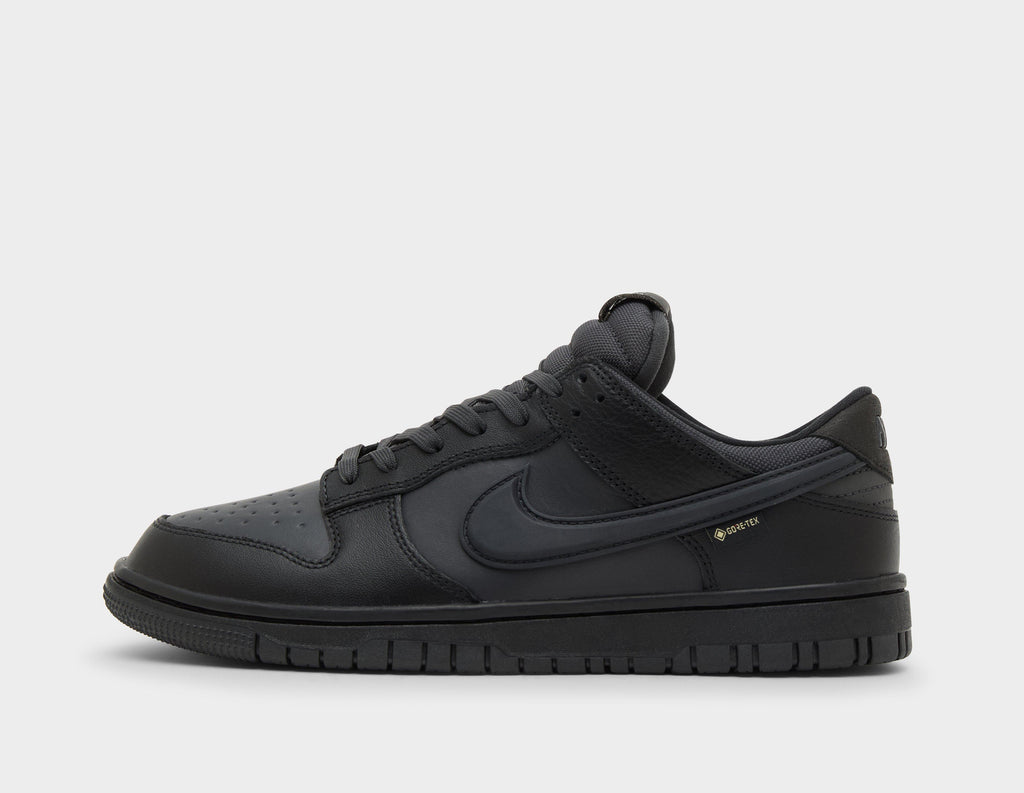 Nike Dunk Low GORE-TEX