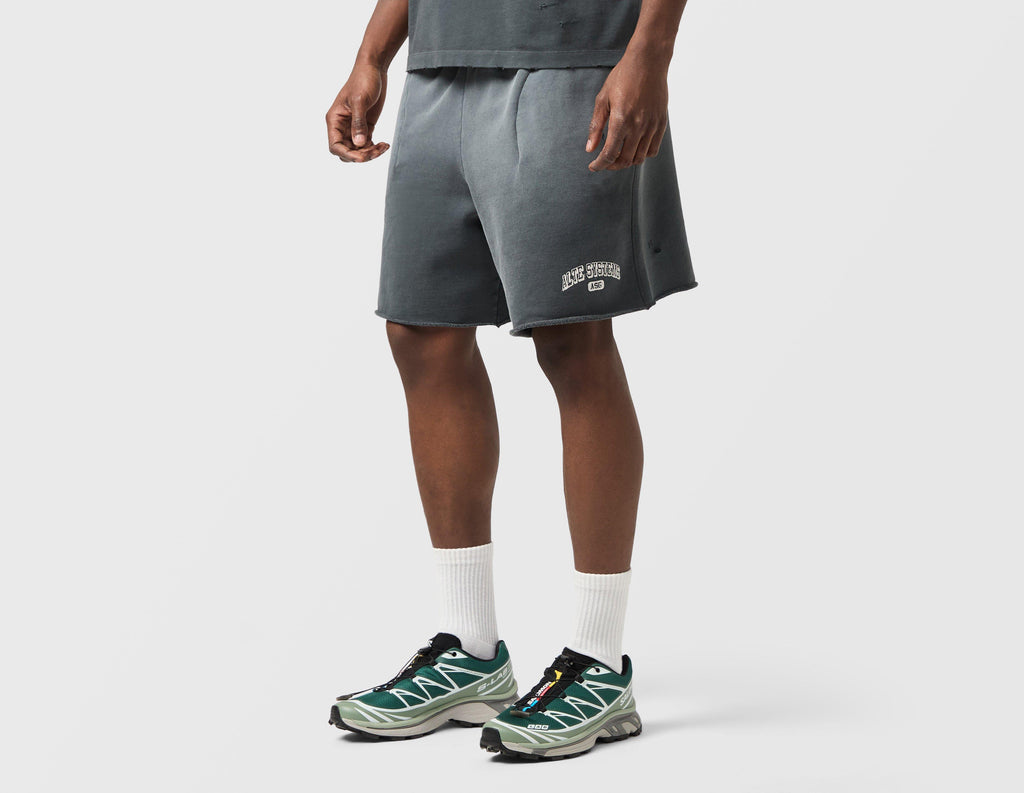 Alte Systems Analog Shorts